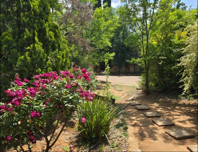 16,466M² SMALLHOLDING FOR SALE IN WALKERVILLE CENTRAL